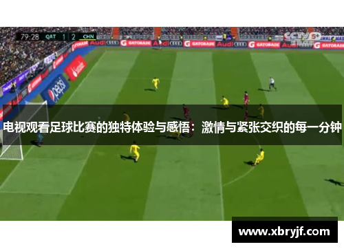 电视观看足球比赛的独特体验与感悟：激情与紧张交织的每一分钟