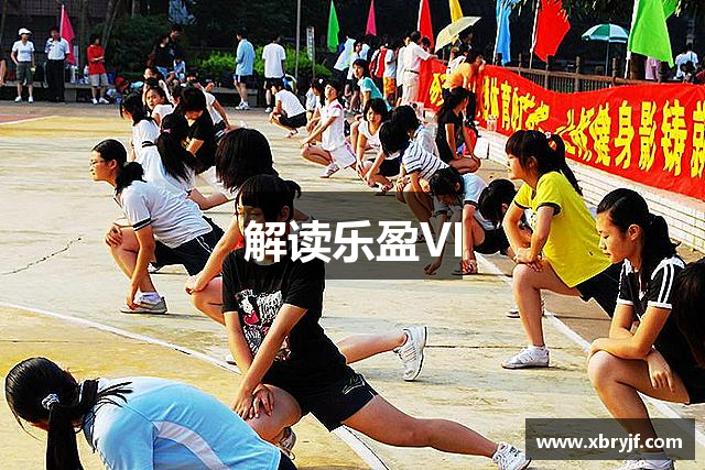 解读乐盈VI